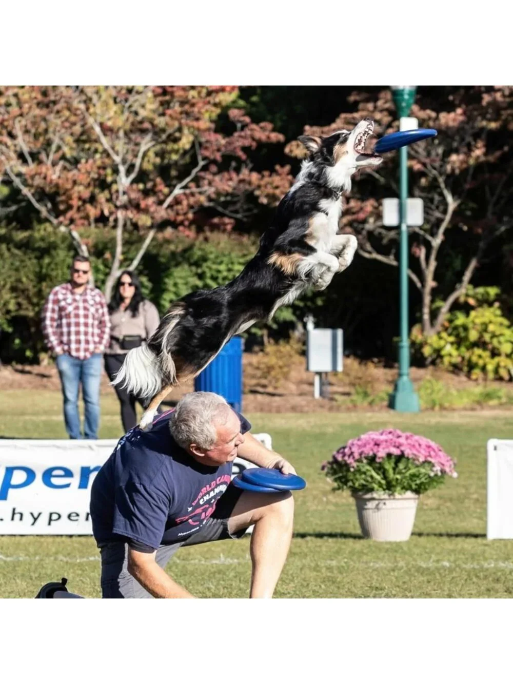 Puncture Resistant Dog Flying Disc - Medium to Large, Durable & Fun Fetch Toy